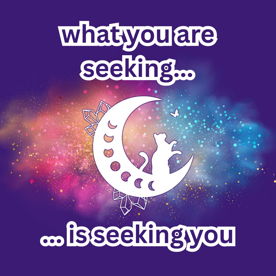 Vendor Applications Are Open for SoulFest Spring 2026 at Fonner Park